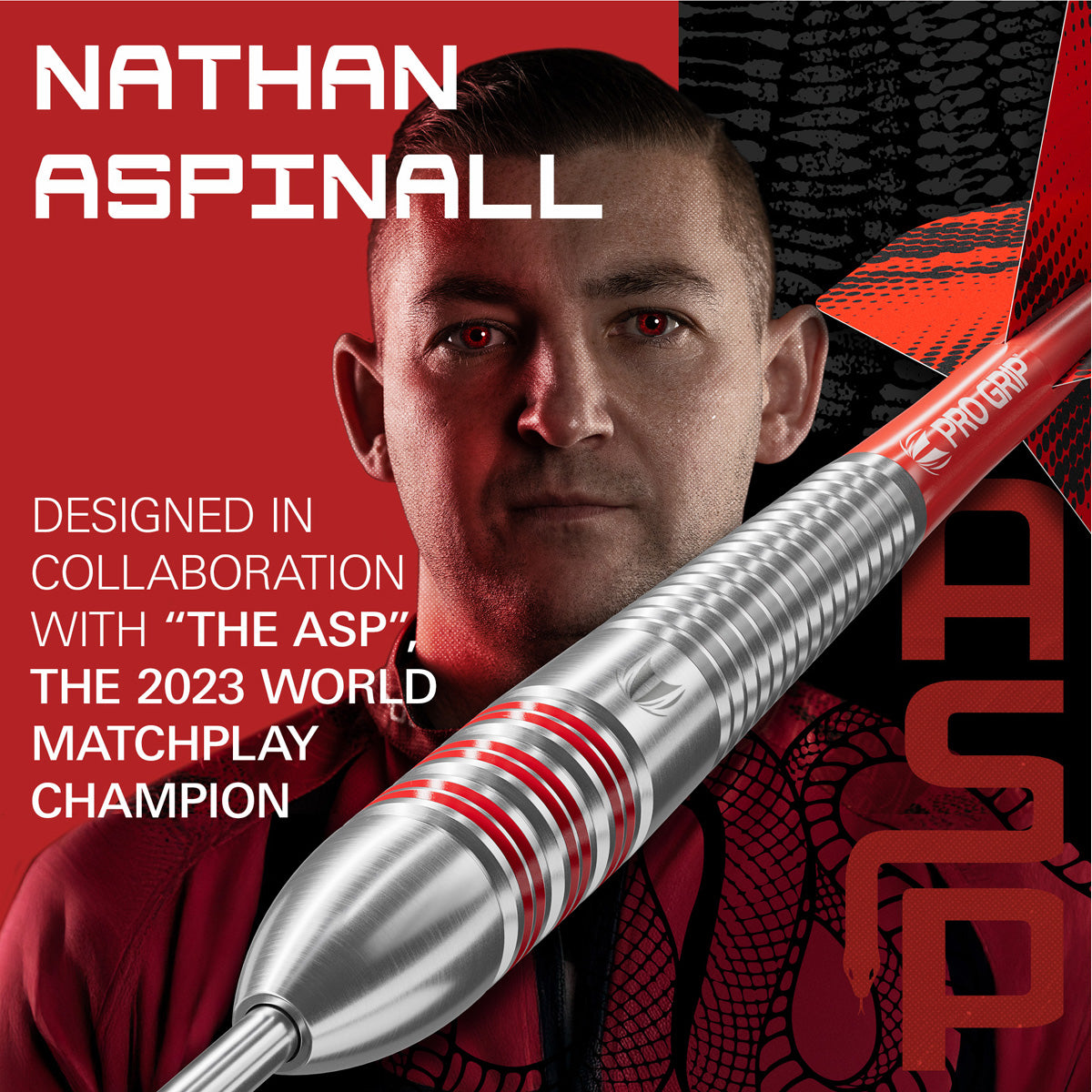 Target Nathan Aspinall Brass Steel Tip Darts