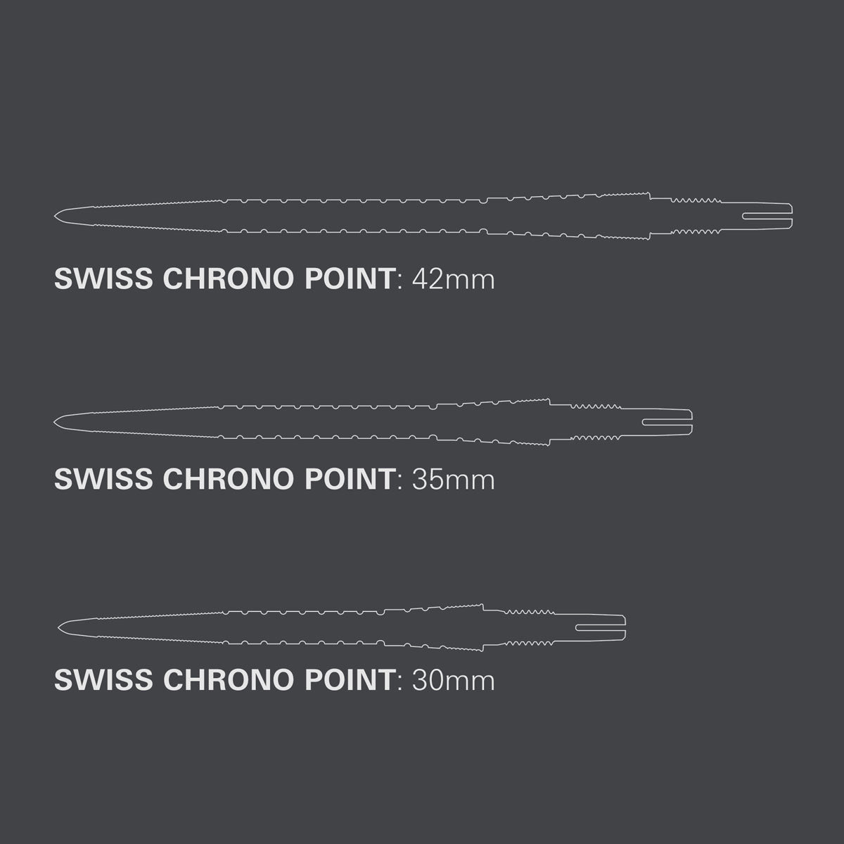 Target Swiss Storm Chrono Point
