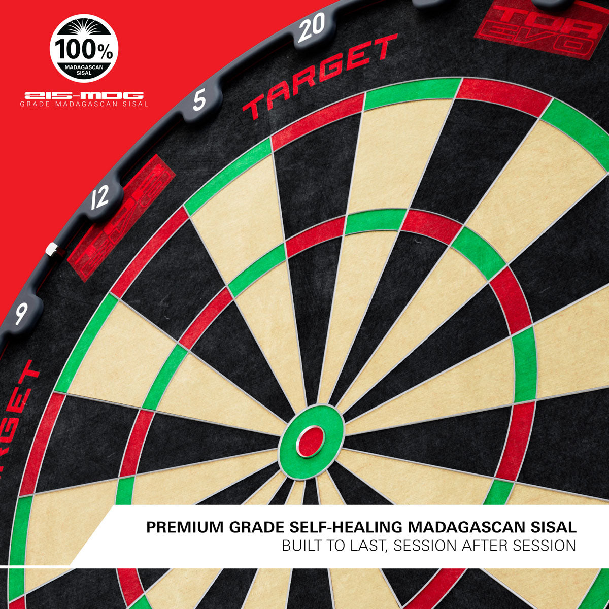 Target TOR EVO Dartboard