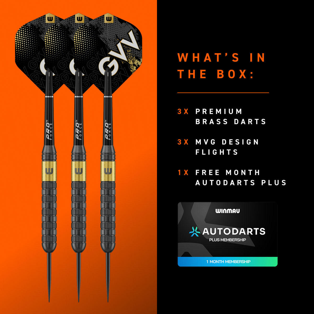 Winmau Gian Van Veen Brass Steel Tip Darts