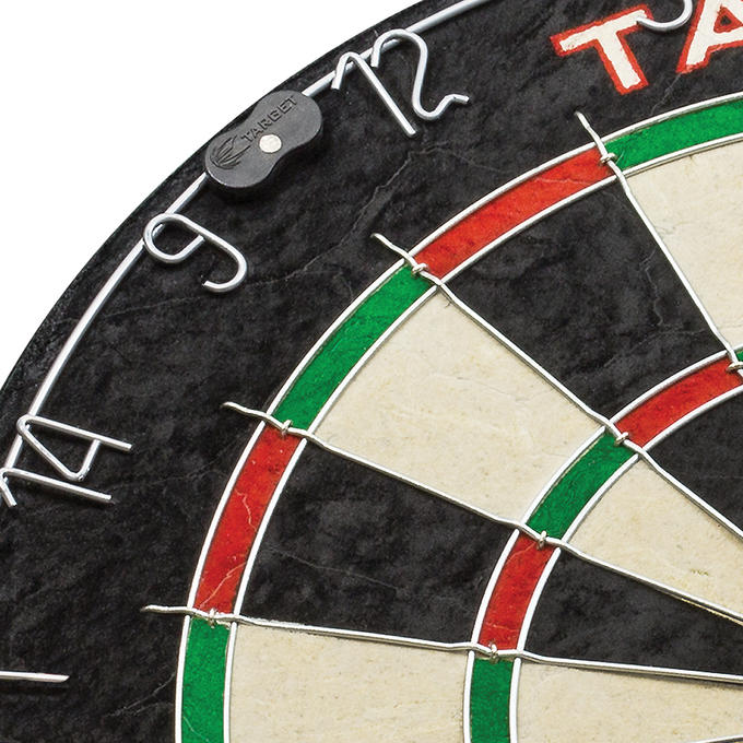 Target World Champion Round Wire Dartboard