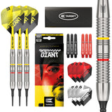Gabriel Clemens Brass Soft Tip Darts by Target