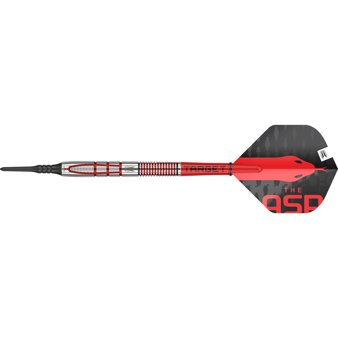 Nathan Aspinall G2 95% Tungsten Soft Tip Darts by Target