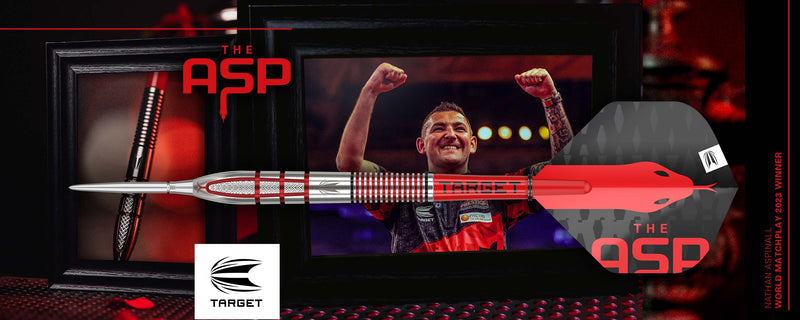 Target Nathan Aspinall Generation Two Darts Banner