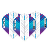 Hardcore Ionic Gerwyn Price Rainbow & White Standard Dart Flights by Red Dragon