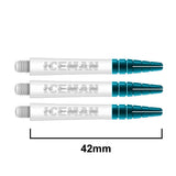 Gerwyn Price Iceman Nitro Ionic Dart Stems White Medium length variant image