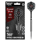 Raymond Smith Steel Tip Darts packaging exterior image showing the outer box artwork, branding, and presentation design