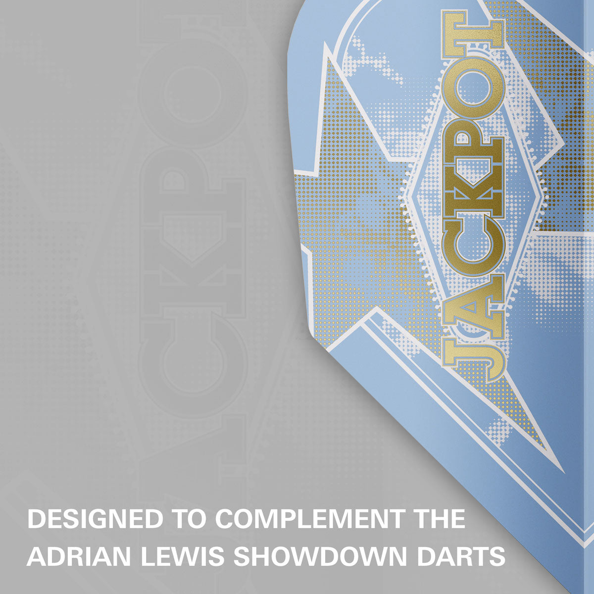 Target Adrian Lewis Showdown Pro Ultra Dart Flights No6