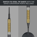 Raymond van Barneveld G6 point system demonstration image showing the dart point configuration