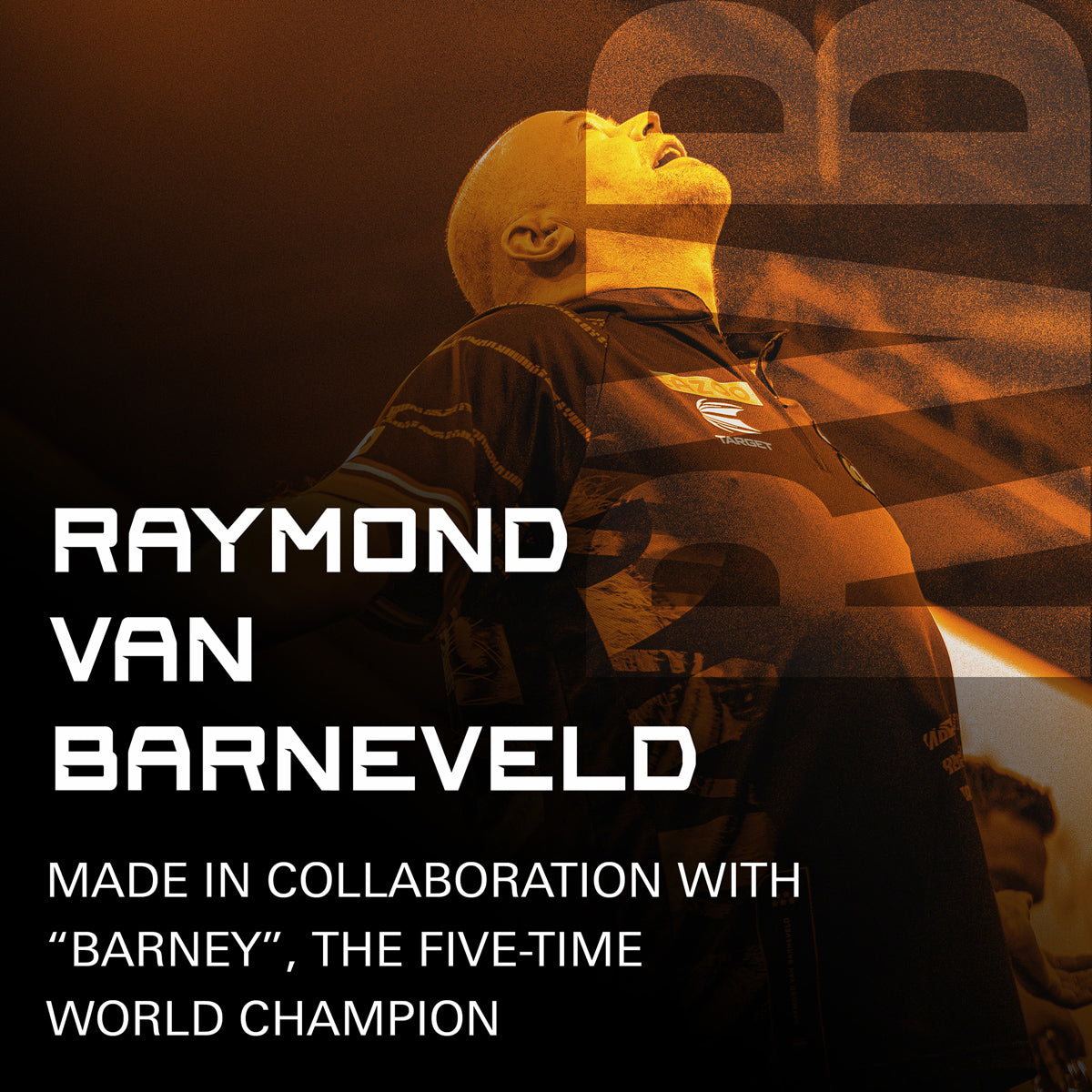 Target brand information card highlighting the company's heritage and innovation in darts equipment.