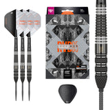Raymond van Barneveld RVB95 Echo SP Steel Tip Darts main product image showing the darts, presentation box, flights, shafts, and supplied accessories