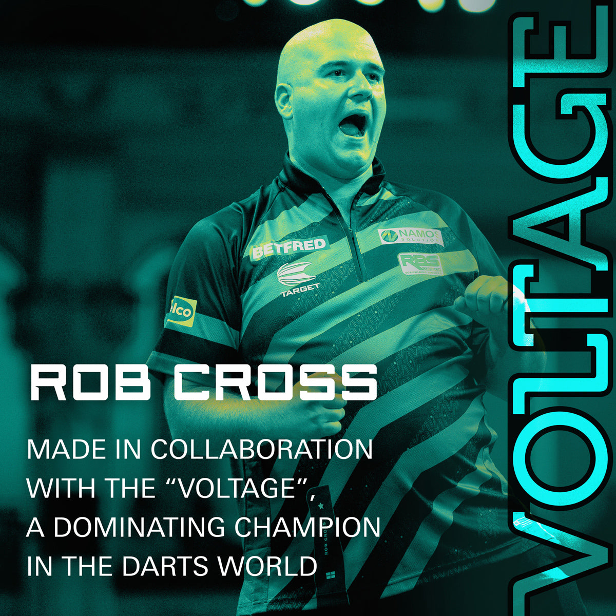 Target brand information card highlighting the company's heritage and innovation in darts equipment.
