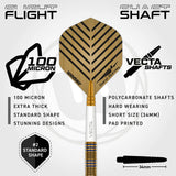 Daryl Gurney Signature Edition Steel Tip Darts flight and stem image showing the included flight design, shaft setup, and branding details