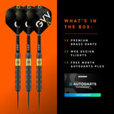 Winmau Gian Van Veen Brass Steel Tip Darts