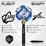 Rashad Sweeting Steel Tip Darts flight and stem image showing the included flight design, shaft setup, and branding details