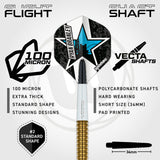 Ryan Branley Steel Tip Darts flight and stem image showing the included flight design, shaft setup, and branding details