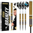 Ryan Branley Steel Tip Darts main product image showing the darts, packaging, flights, shafts, and included accessories