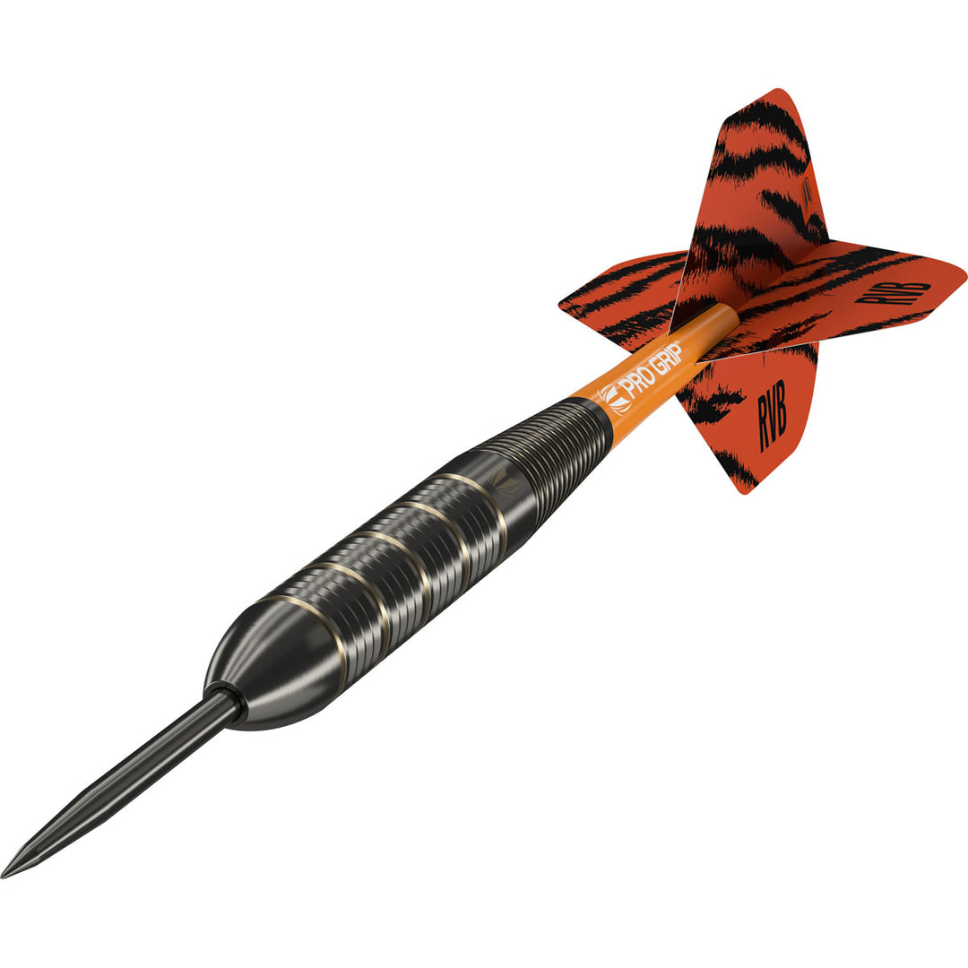 Raymond Van Barneveld RVB Brass Steel Tip Darts by Target