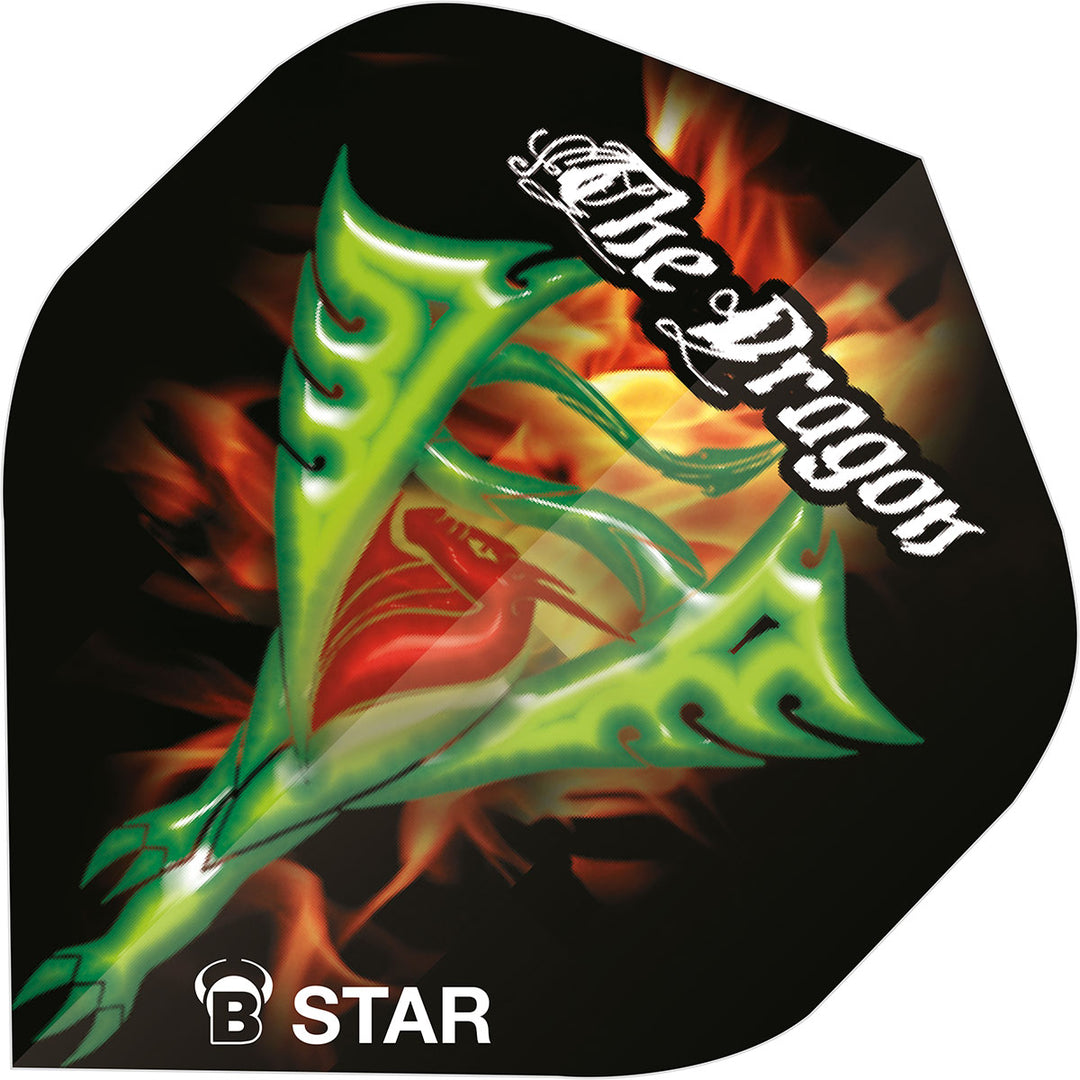 Kevin Munch B-Star Standard Dart Flights by Bulls