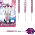 Autograph Pink Ringed Steel Tip Darts main product image showing the darts, packaging, flights, shafts, and included accessories